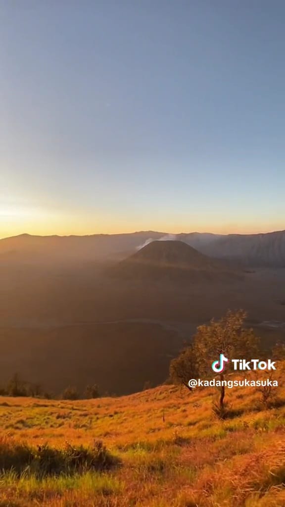 Potret bromo mulai menghijau  © TikTok