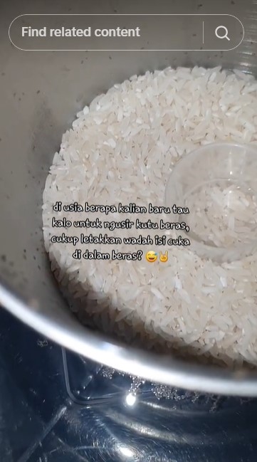 Bukan pakai cabai atau daun salam, ini trik mengusir kutu beras mengandalkan 1 bahan dapur