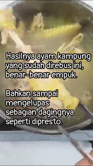 Bukan pakai daun pepaya, ini trik rebus ayam kampung agar empuk dan antiamis cuma tambah 2 bumbu dapur