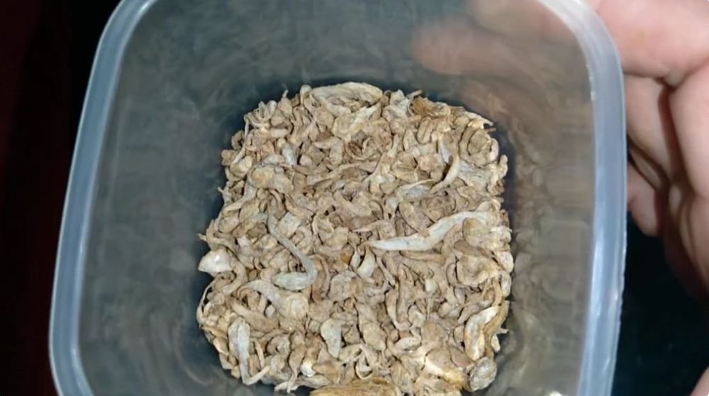 Bukan digoreng, begini trik masak ikan teri agar teksturnya renyah hingga berhari-hari