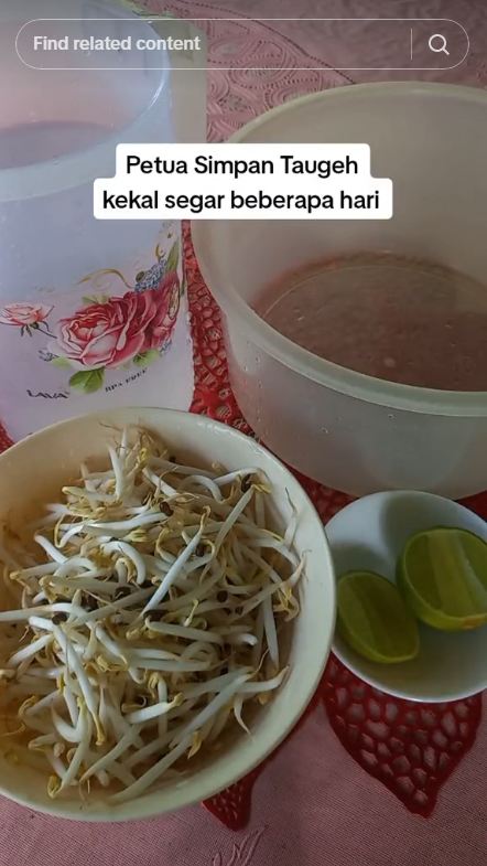 Tanpa asam gelugur, ini cara menyimpan tauge agar tetap segar dan tak menghitam hingga seminggu