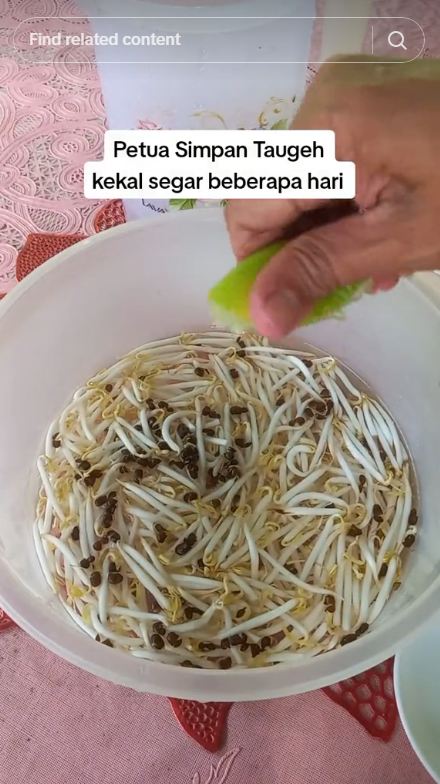 Tanpa asam gelugur, ini cara menyimpan tauge agar tetap segar dan tak menghitam hingga seminggu