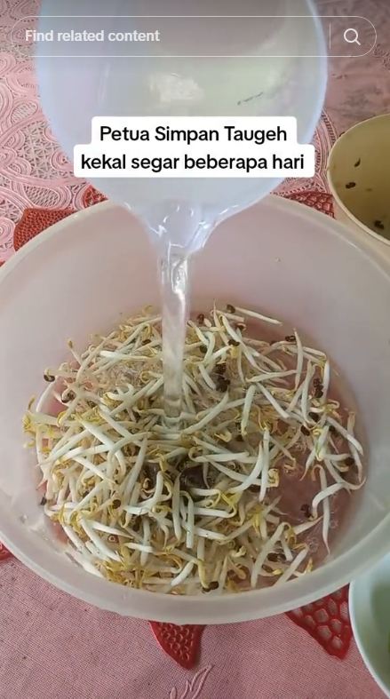 Tanpa asam gelugur, ini cara menyimpan tauge agar tetap segar dan tak menghitam hingga seminggu