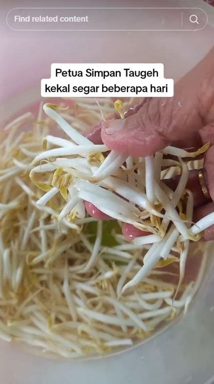 Tanpa asam gelugur, ini cara menyimpan tauge agar tetap segar dan tak menghitam hingga seminggu