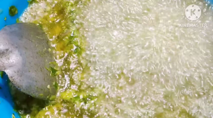 Tanpa diulek, ini trik bikin sambal hijau ala rumah makan padang yang warnanya cerah dan tak pahit