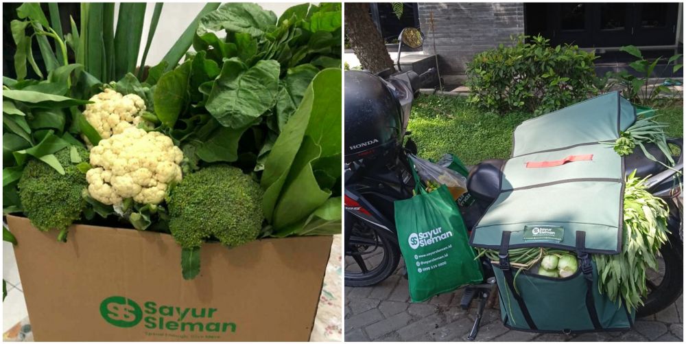 janu muhammad s2 tukang sayur © berbagai sumber janu muhammad s2 tukang sayur © berbagai sumber