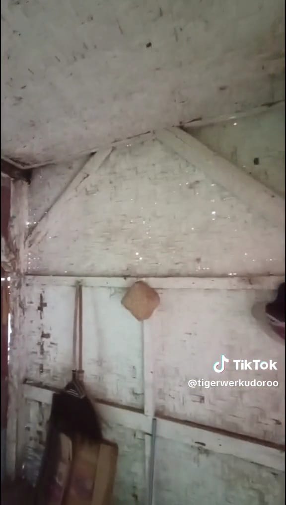 Potret kocak rumah reot menipu mata Berbagai sumber