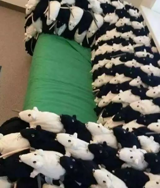 Potret kocak penampakan dalam kamar Berbagai sumber Potret kocak penampakan dalam kamar Berbagai sumber