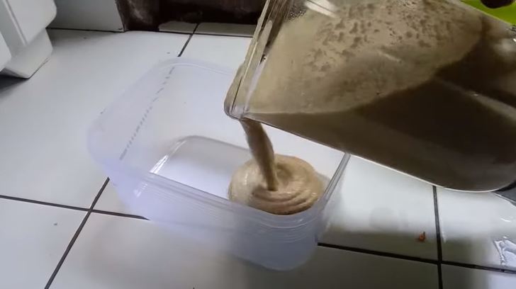 Modal Rp7.000, begini cara bikin makanan kucing agar cepat gemuk cuma pakai 2 bahan makanan