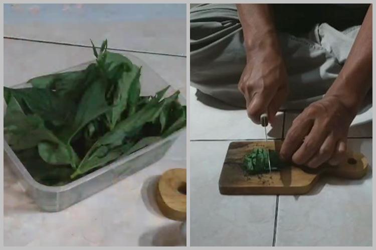 Bukan roti tawar, ini cara bikin makanan ikan hias yang tak mengotori air cuma pakai 1 jenis sayuran