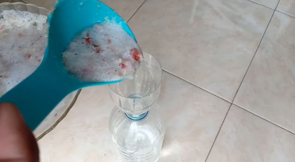 Cuma pakai 2 bahan dapur, ini trik agar tanaman daun kemangi makin rimbun dan daunnya tak menghitam