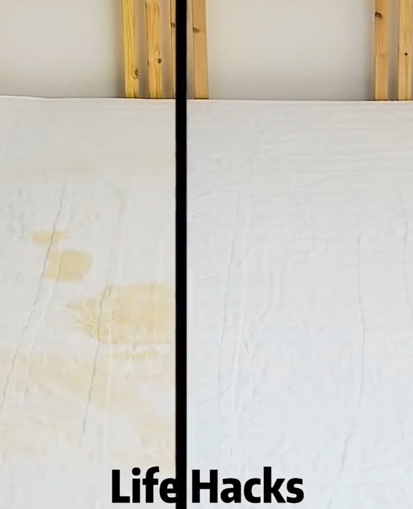 cara bikin kasur buluk jadi bak baru dengan 3 bahan sederhana © berbagai sumber cara bikin kasur buluk jadi bak baru dengan 3 bahan sederhana © berbagai sumber