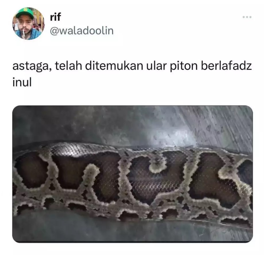 Hewan perlu lihat dua kali Berbagai sumber