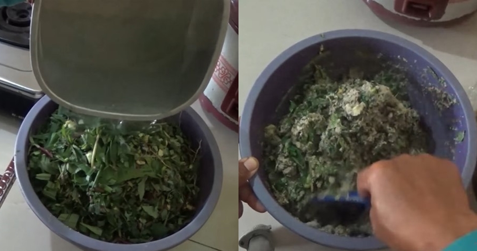 Tanpa fermentasi, ini cara bikin pakan ayam agar hewan ternak tak mudah sakit pakai 2 bahan dapur