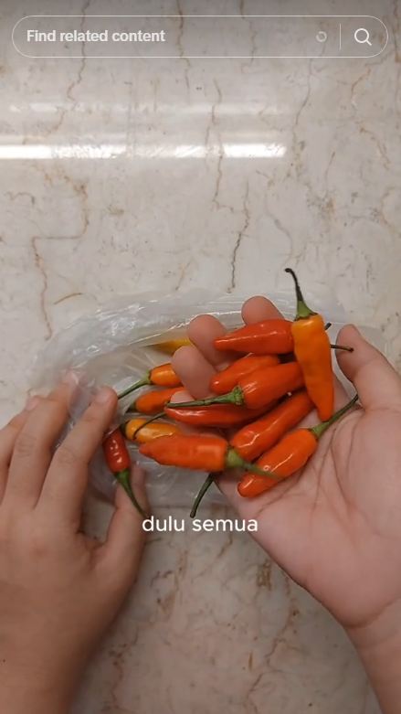 Bukan dilapisi tisu, ini trik menyimpan cabai agar tahan lama dan tak busuk lebih dari 2 minggu