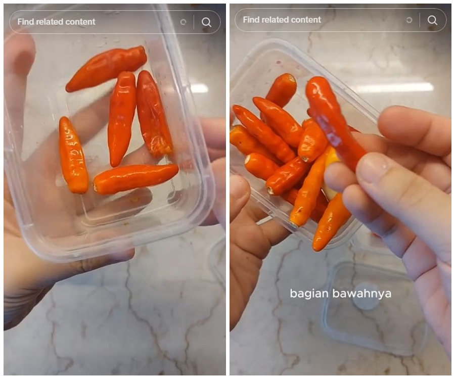 Bukan dilapisi tisu, ini trik menyimpan cabai agar tahan lama dan tak busuk lebih dari 2 minggu