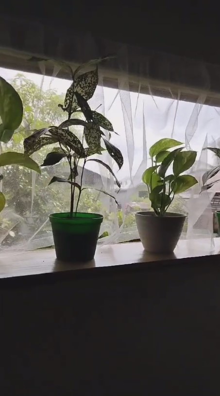 dapur kayu seram ternyata estetik © 2023 brilio.net dapur kayu seram ternyata estetik © 2023 brilio.net