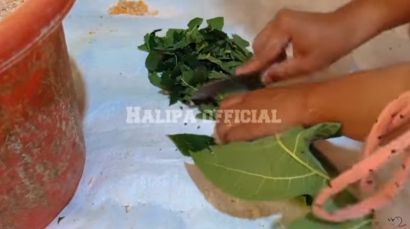 Bukan diberi cacing, ini cara membuat pakan bebek supaya cepat gemuk cuma pakai 2 jenis sayuran