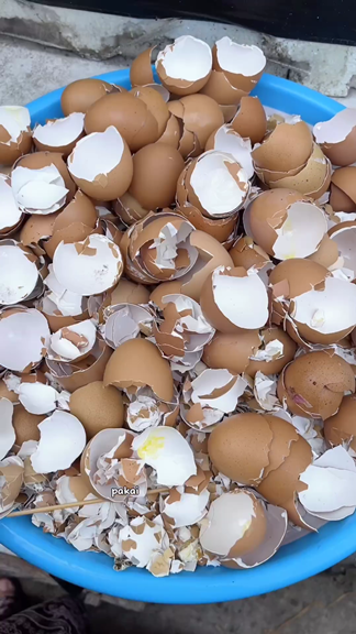 Tanpa diberi micin, ini trik merawat tanaman cabai agar subur dan berbuah lebat pakai 1 sampah dapur