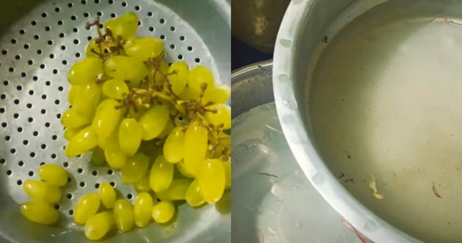 Bukan cuka atau baking soda, ini trik usir kuman dan lapisan lilin pada anggur pakai 2 bahan dapur
