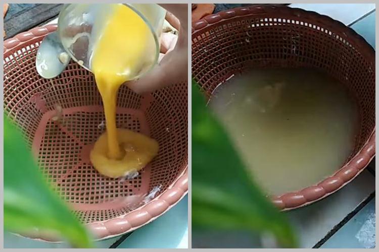 Tak perlu baking powder, ini trik bikin jamur krispi keriting dan renyah cukup tambah 1 bahan dapur