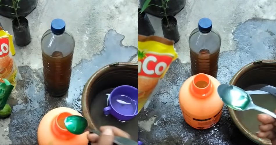 Tak perlu pakai bawang, ini trik membasmi hama di tanaman cabai mengandalkan 3 bahan dapur