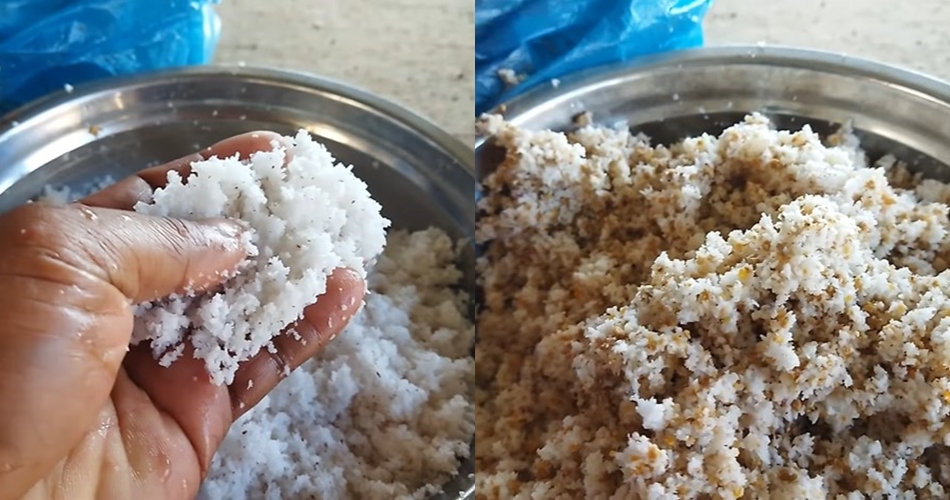 Bukan pakai sayuran, ini trik bikin pakan ayam agar cepat gemuk & sehat dengan tambahan 1 bahan dapur