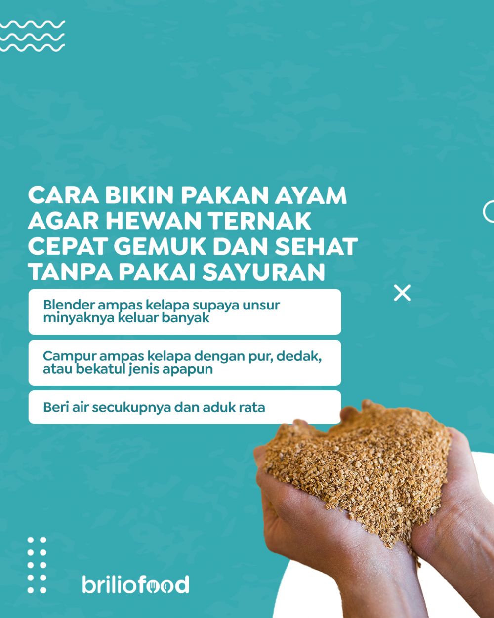 Bukan pakai sayuran, ini trik bikin pakan ayam agar cepat gemuk & sehat dengan tambahan 1 bahan dapur