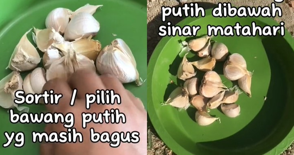 Tanpa alas tisu atau kertas, ini trik menyimpan bawang putih agar awet di suhu ruang dengan 1 alat