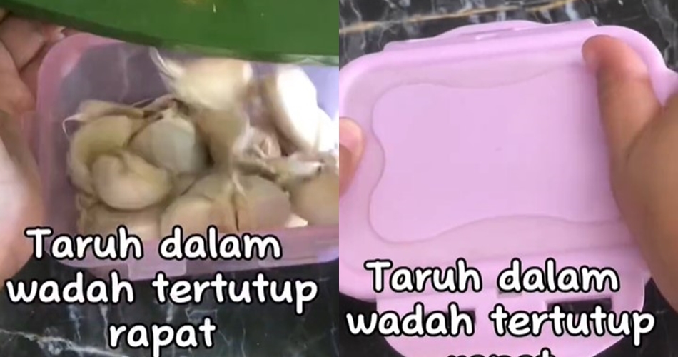 Tanpa alas tisu atau kertas, ini trik menyimpan bawang putih agar awet di suhu ruang dengan 1 alat