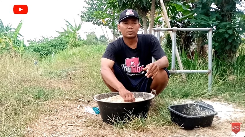 Tanpa diberi rumput, ini cara bikin pakan kambing agar cepat gemuk cukup ditambah 4 bumbu dapur