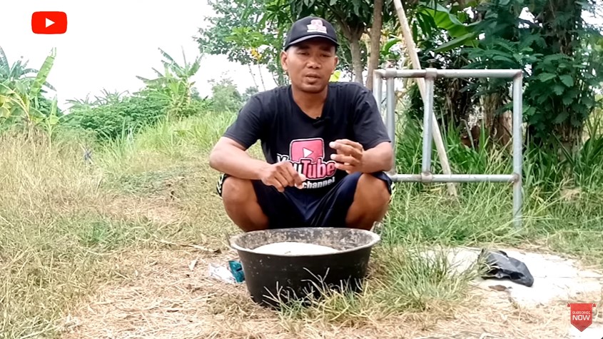 Tanpa diberi rumput, ini cara bikin pakan kambing agar cepat gemuk cukup ditambah 4 bumbu dapur