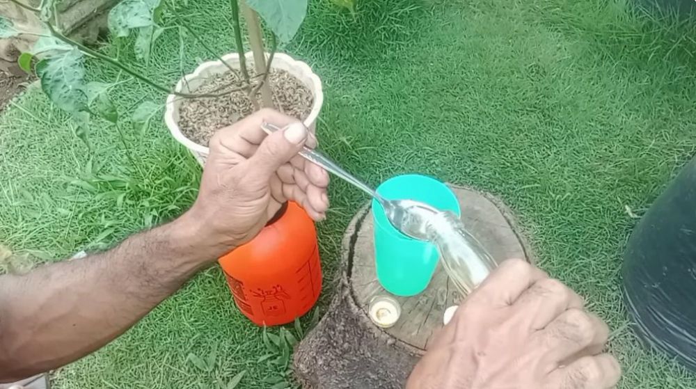 Jadi penyebab buah lebat, ini trik agar bunga tanaman cabai tak rontok meski tanpa garam dan micin