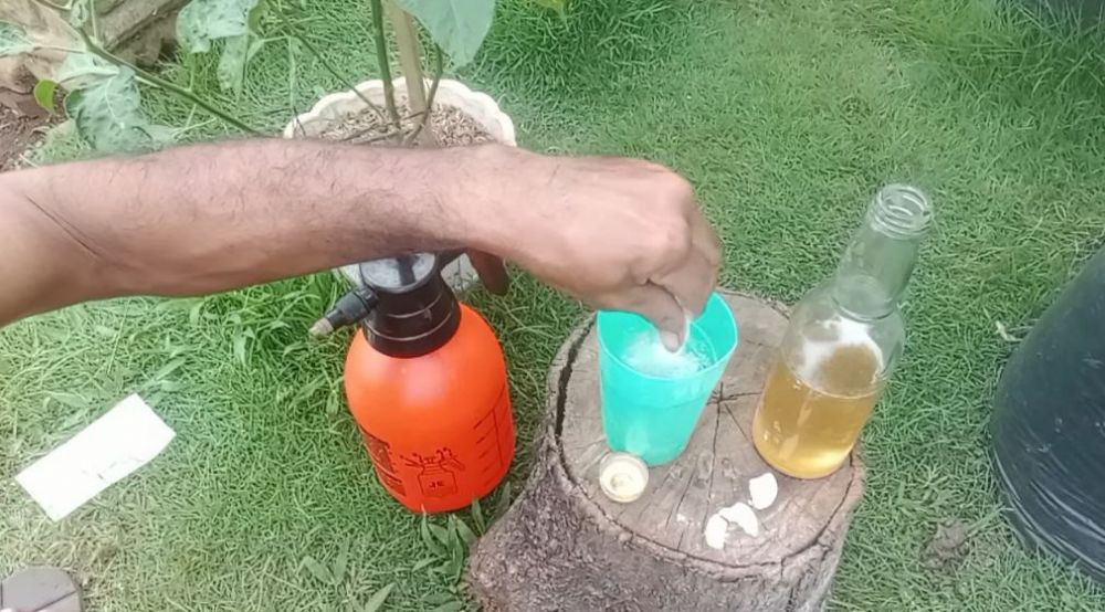 Jadi penyebab buah lebat, ini trik agar bunga tanaman cabai tak rontok meski tanpa garam dan micin