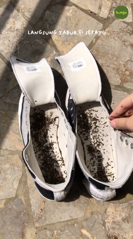 hilangkan bau tak sedap di sepatu © TikTok