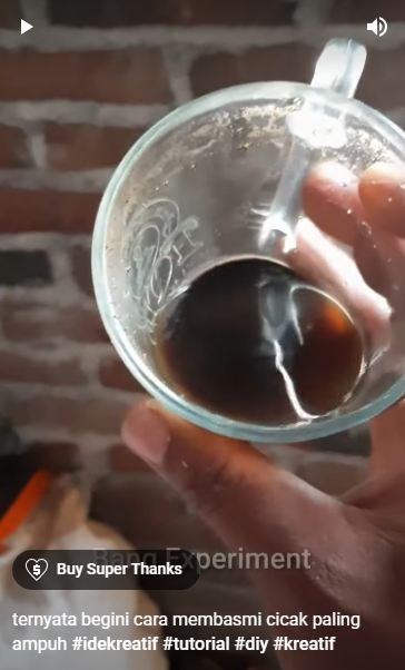 Tanpa lada atau nasi, ini cara ampuh basmi cicak cuma pakai 1 ampas dapur