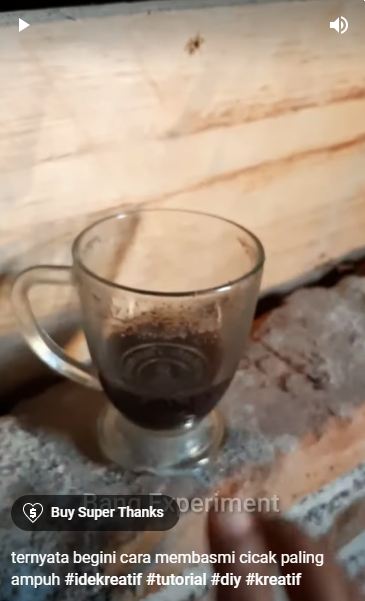 Tanpa lada atau nasi, ini cara ampuh basmi cicak cuma pakai 1 ampas dapur