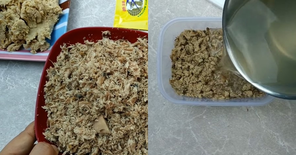 Modal Rp30 ribuan untuk 7 hari, ini cara bikin makanan kucing agar cepat gemuk dan sehat pakai 3 bahan