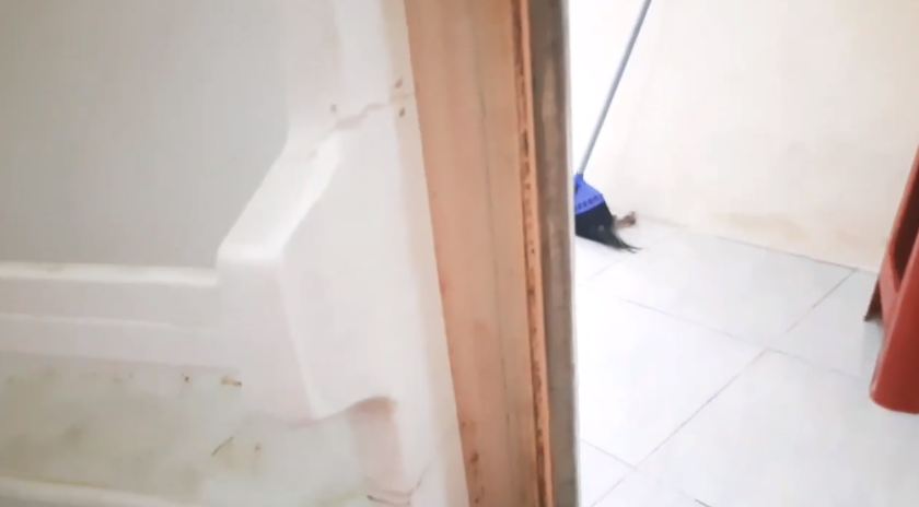 Modal Rp6.000, ini cara bersihkan kulkas berjamur agar bersih dan wangi cuma tambah 1 bahan dapur