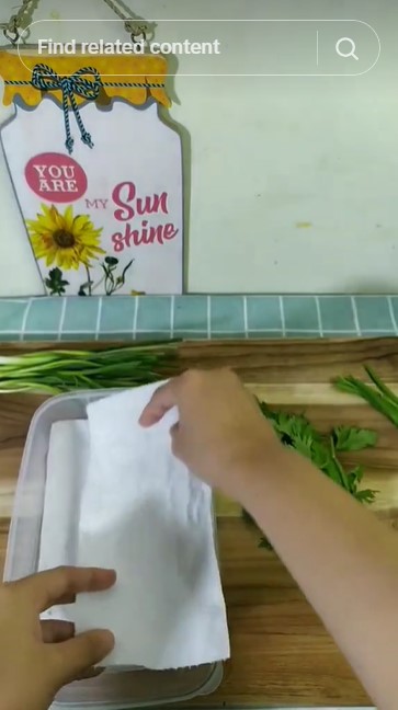 Tanpa dibekukan atau direndam air, ini cara menyimpan seledri awet segar hingga 1 bulan pakai 1 alat