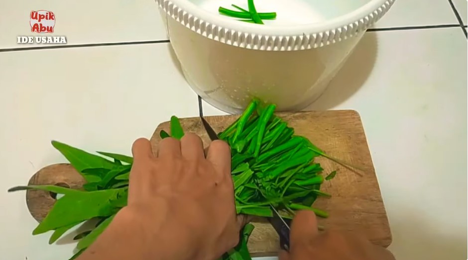 Tak cuma pakai garam, ini cara cuci kangkung agar bebas ulat dan warnanya tetap hijau saat dimasak