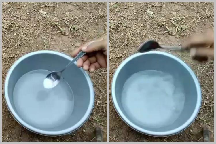 Tak cuma micin, ini trik merawat tanaman cabai agar subur dan berbuah lebat tambah 1 jenis minuman