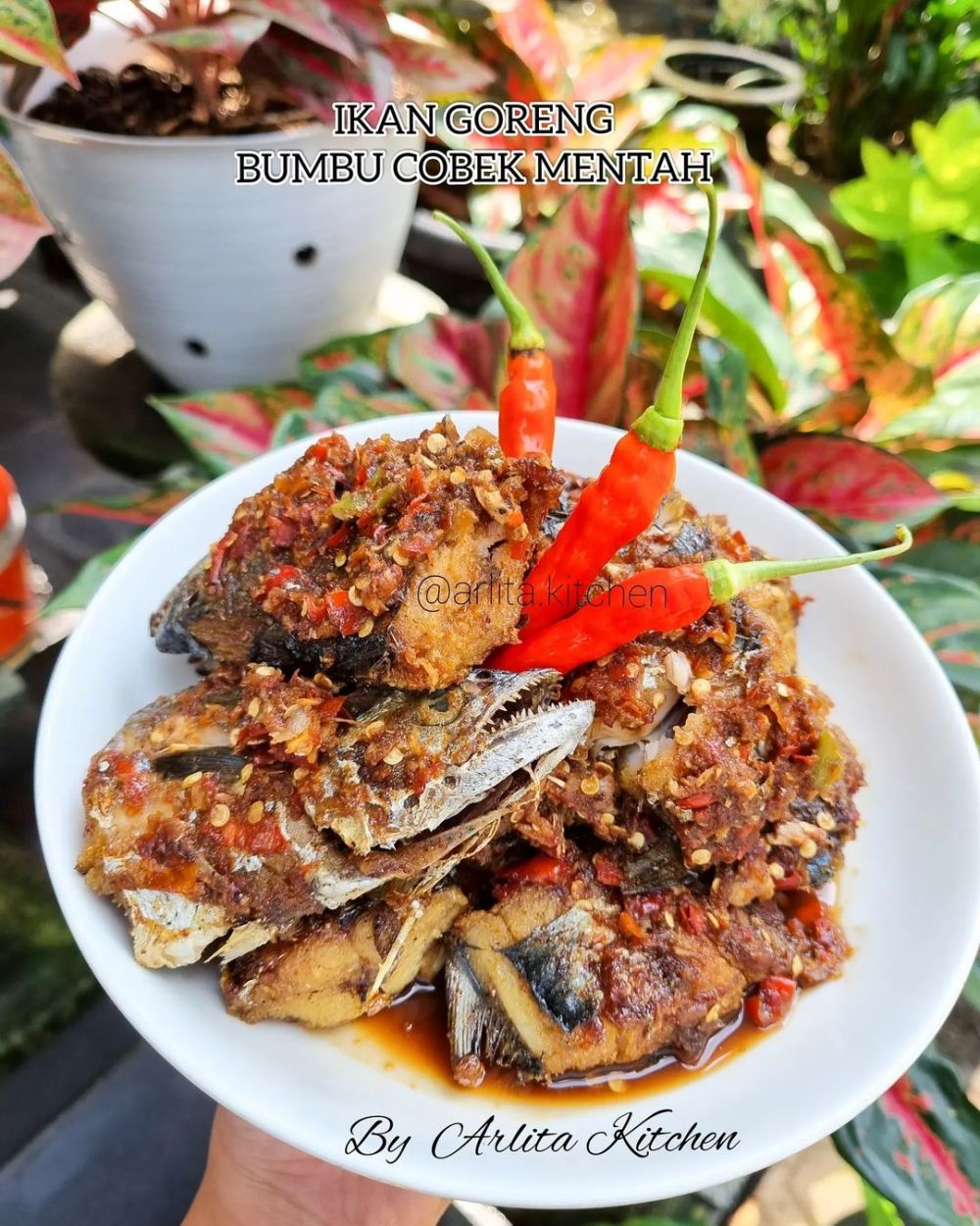 30 Resep aneka ikan goreng rumahan, gurih dan mudah dibuat