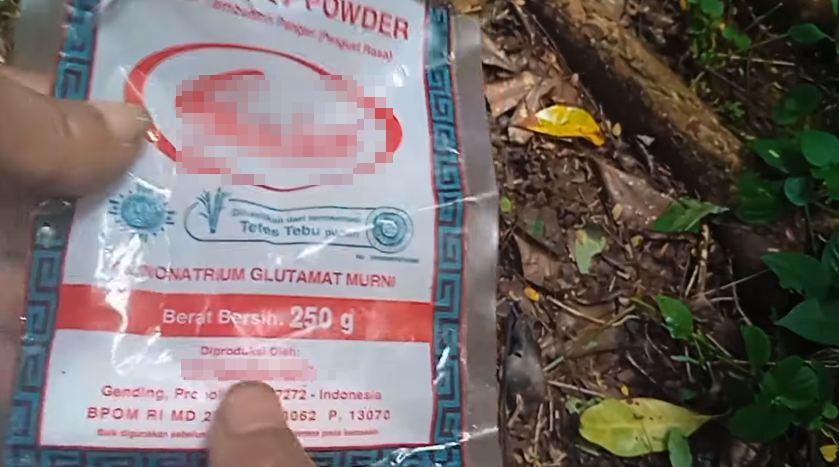 Cuma pakai 1 bumbu dapur, ini cara merawat pohon petai agar bunganya tidak rontok dan berbuah lebat