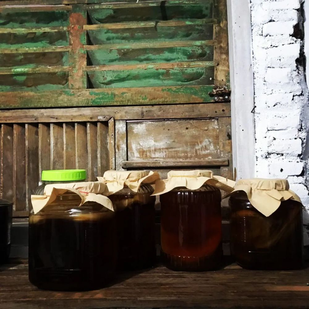 Manfaat kombucha dan pengakuan para penekun bisnis minuman teh 