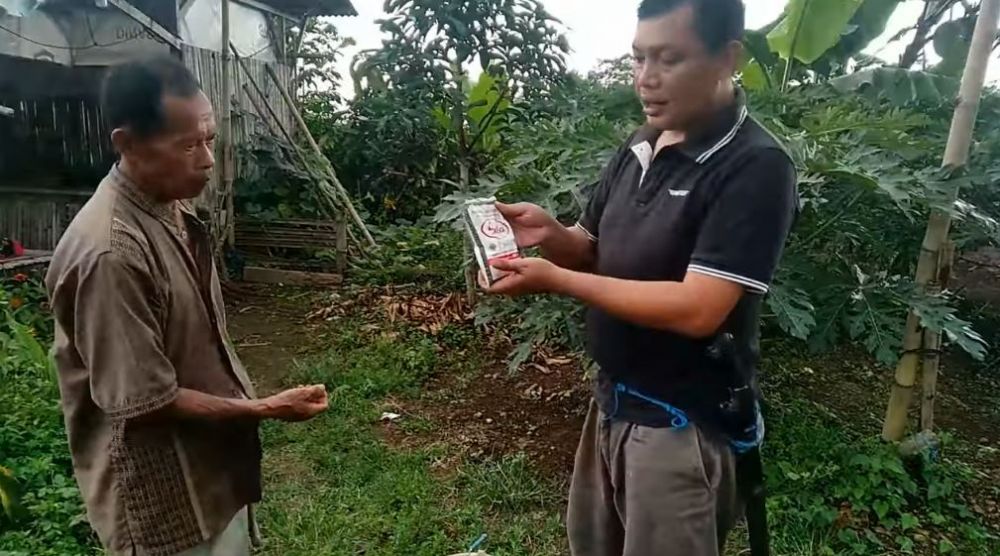 Tak perlu diberi garam, ini trik merawat pohon pepaya agar cepat berbuah dan rasanya manis