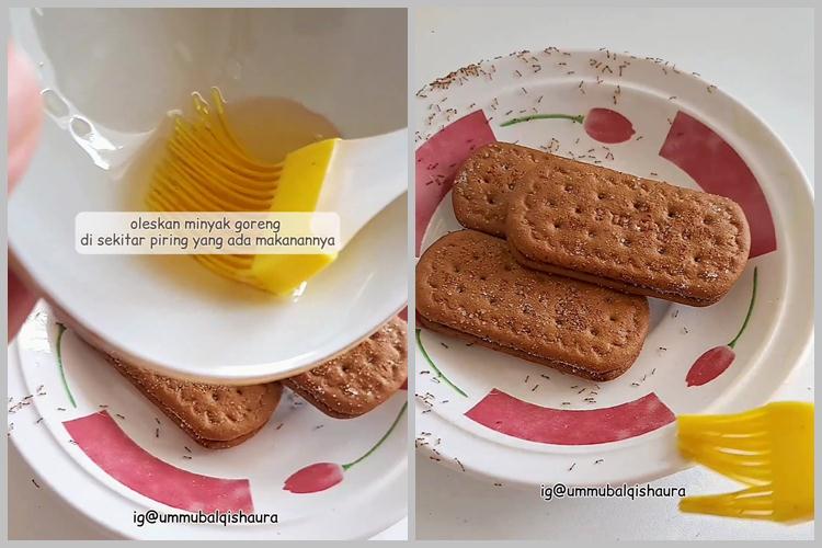 Tak perlu dibunuh, ini cara ampuh mengusir semut di makanan cuma pakai 1 bahan dapur