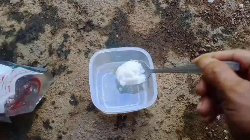 Nggak cuma micin, ini cara suburkan tanaman petai agar berbuah lebat cukup tambah 1 bahan dapur