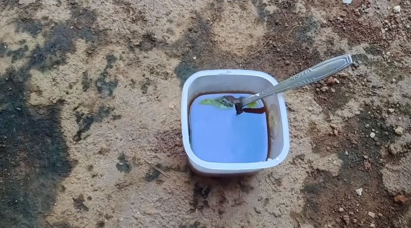 Nggak cuma micin, ini cara suburkan tanaman petai agar berbuah lebat cukup tambah 1 bahan dapur