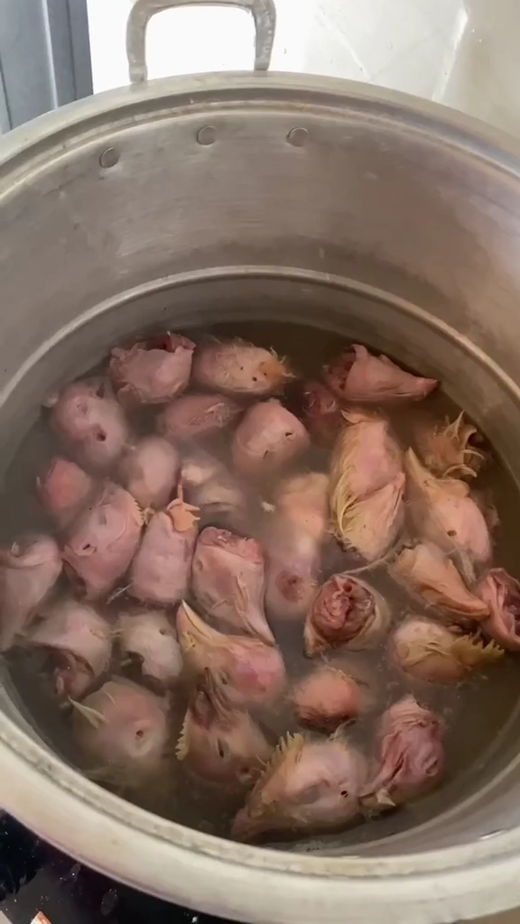 Modal Rp7.000, ini cara bikin makanan kucing agar cepat gemuk cuma pakai 3 bahan makanan